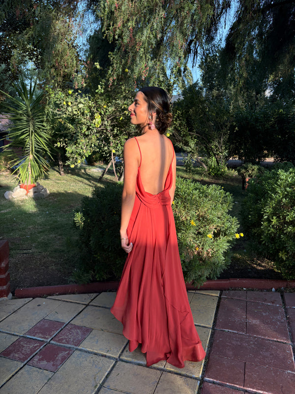  con Vestido Brasil Damasco